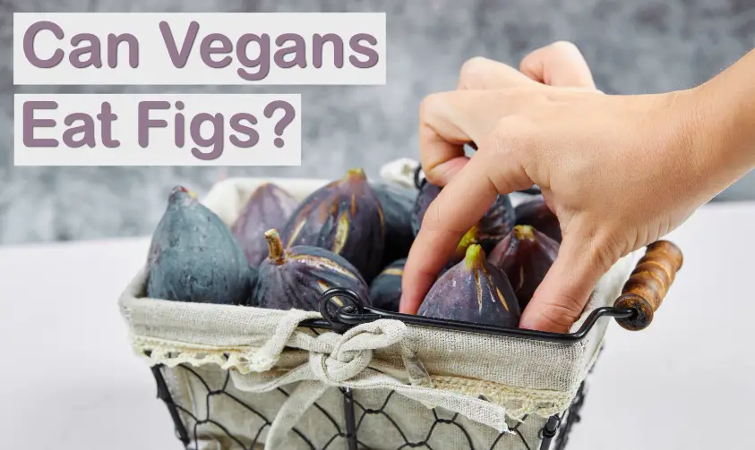 can vegans eat figs