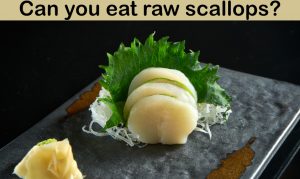 Read more about the article Can You Eat Raw Scallops? (Do this before eating)