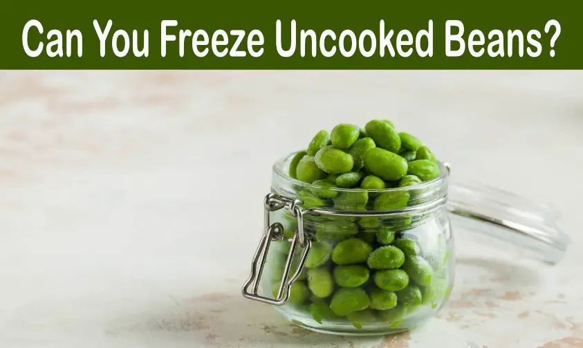 Read more about the article Can You Freeze Uncooked Beans? (Things You Should Know)