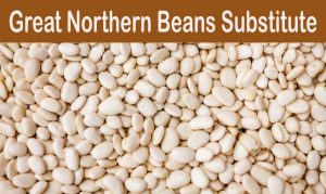 Read more about the article Great Northern Beans Substitutes For Everyday Cooking