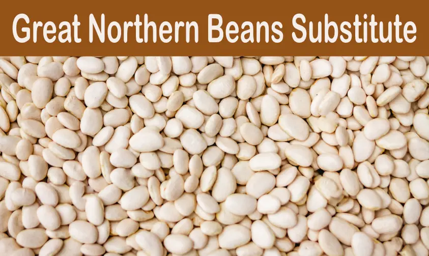 An image showing a pile of great northern beans