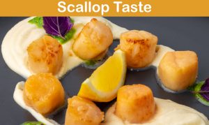 Read more about the article What Do Scallops Taste Like? (Sweet | Metallic | Bitter |Ammonia)