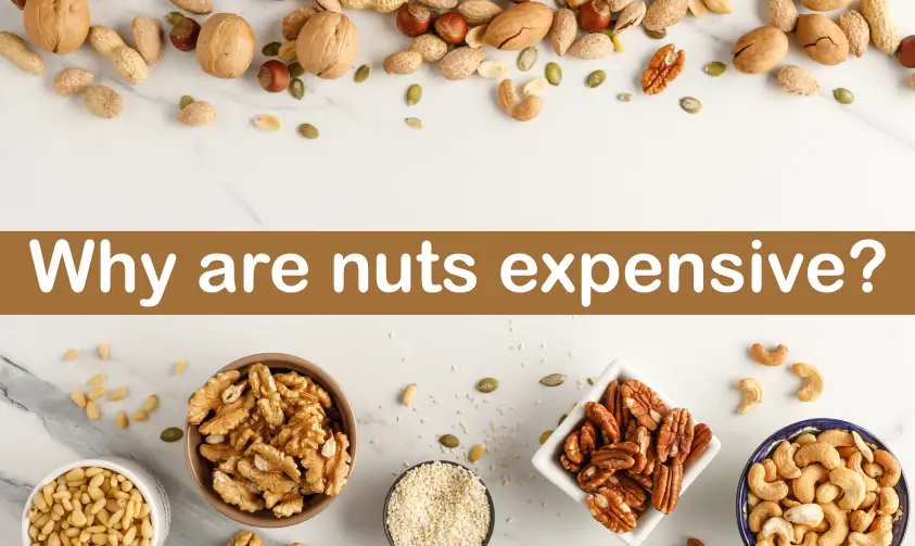 Different types of expensive nuts filled in bowls and placed on a marble table