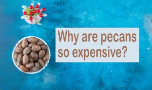 Read more about the article Why Are Pecans So Expensive? (The Real Reasons)