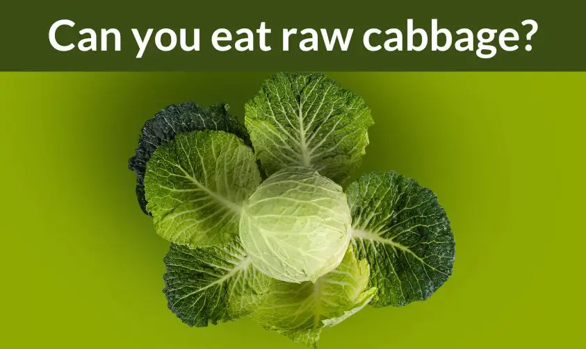 can you eat raw cabbage?