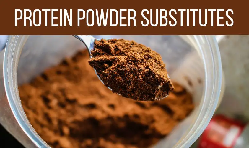 protein powder substitutes